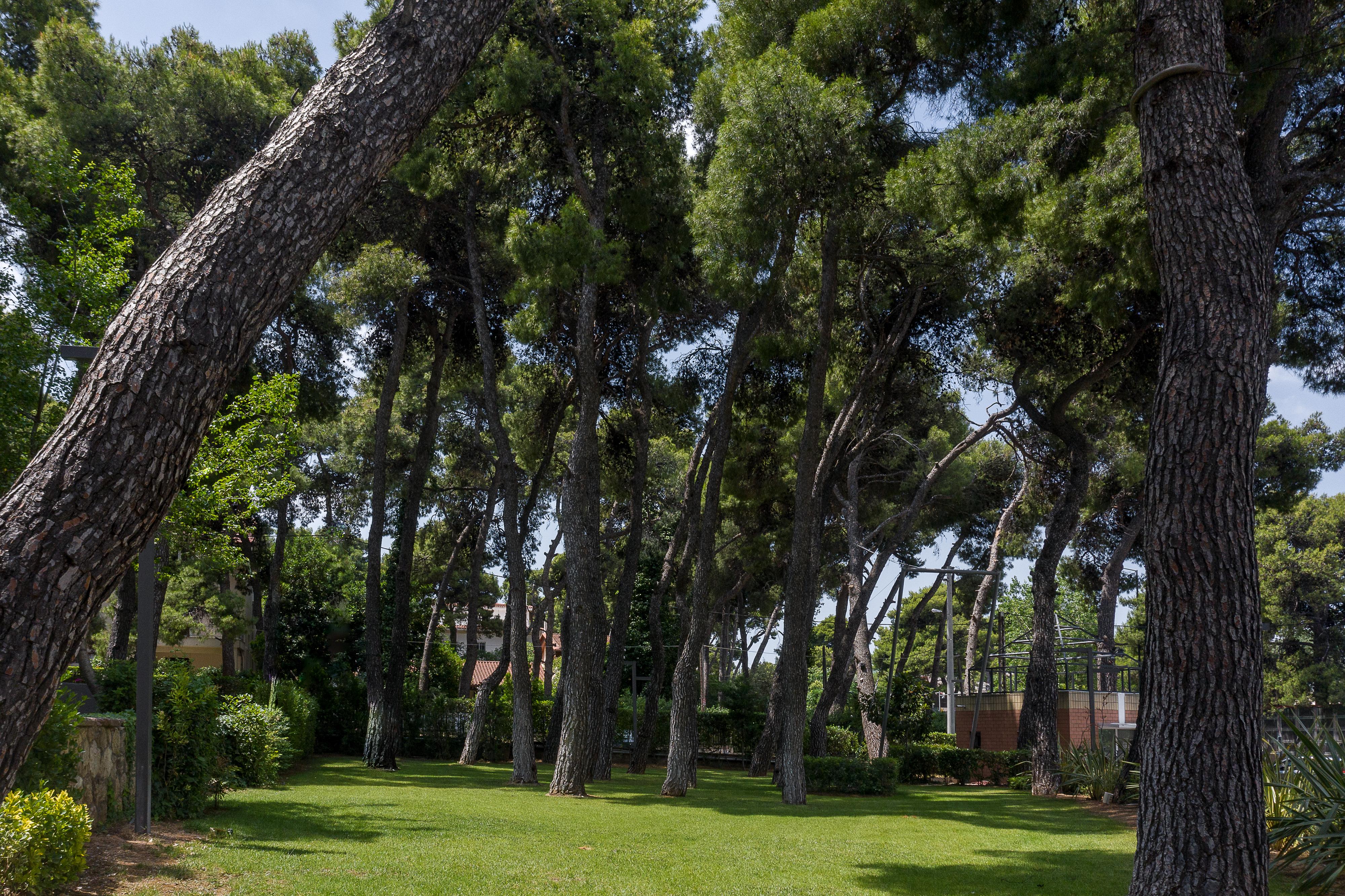 Domotel Kastri Athens Exterior photo